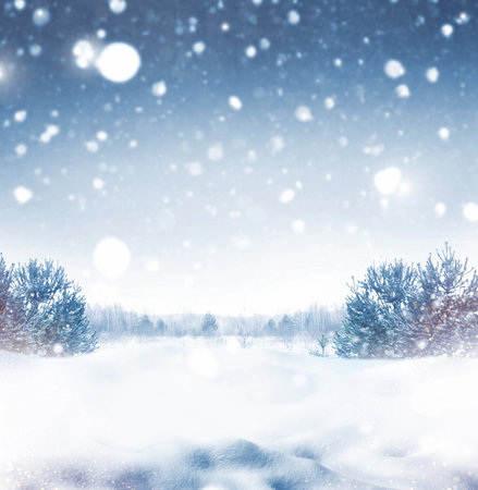 Landscapes. Frozen winter forest with snow covered trees. outdoor. landscape. Natural background.の写真素材