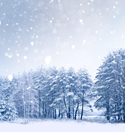 Landscapes. Frozen winter forest with snow covered trees. outdoor. landscapeの写真素材