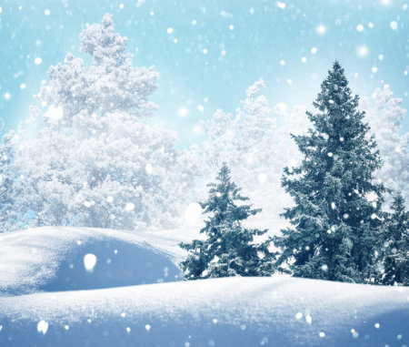 Landscapes. Frozen winter forest with snow covered trees. outdoor. landscapeの写真素材