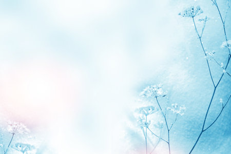 Blurred frozen grass. Winter abstract background. Landscape. outdoorの写真素材