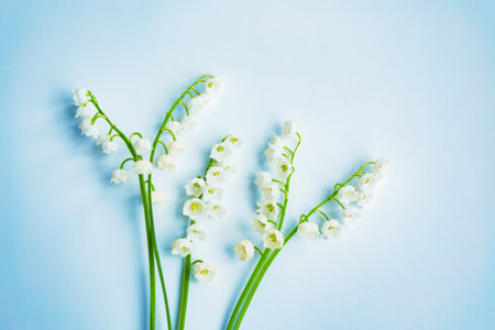 flowers lily of the valley on a light background. Spring landscape.の写真素材