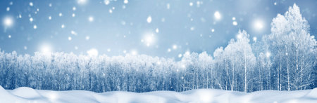 Landscapes. Frozen winter forest with snow covered trees. outdoor. landscapeの写真素材