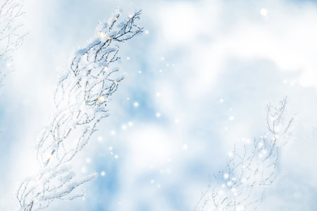 Blurred frozen grass. Winter abstract background. Landscape. outdoorの写真素材