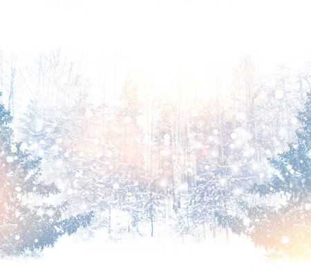 Landscapes. Frozen winter forest with snow covered trees. outdoor. landscape. Natural Christmas background.の写真素材