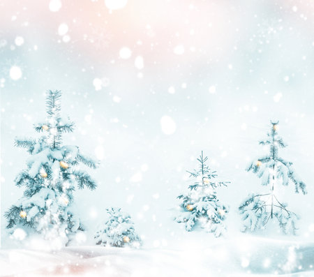 Natural Christmas background. Landscapes. Frozen winter forest with snow covered trees. outdoor. landscapeの写真素材