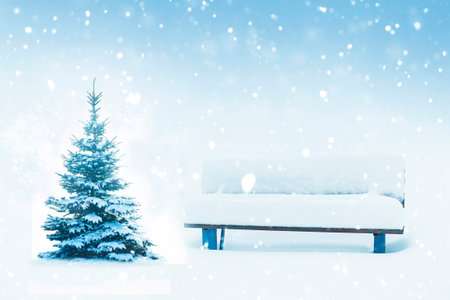Bench and trees covered with snow. Frozen winter forest with snow covered trees. outdoor landscapeの写真素材