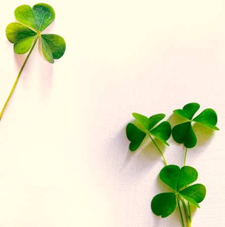 green clover leaves. St.Patrick's Day. Spring natural background.の写真素材