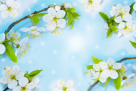 Delicate natural floral background. nature. Blossoming branch cherry. Bright colorful spring flowersの写真素材