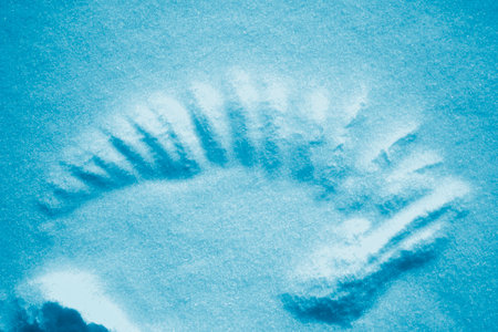 Bird wing mark on snow. Crow was cleaning its wings. Natural texture. Nature. Winter. outdoorの写真素材
