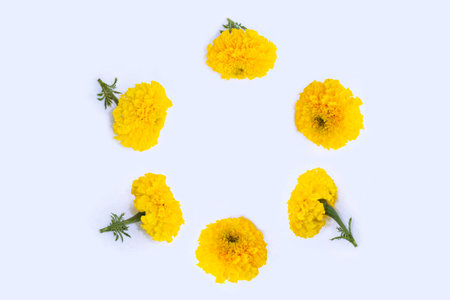 Floral arrangement. Round frame of marigold flowers on a light background. Natural pattern.