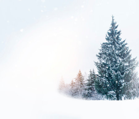 Snowy forest. Winter landscape. Trees in fluffy white snow. Space for text.の写真素材