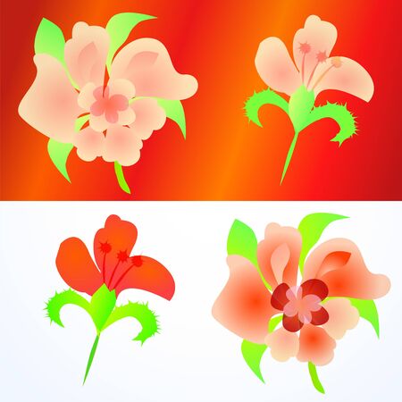 Ornate flowers set isolated on whiteのイラスト素材