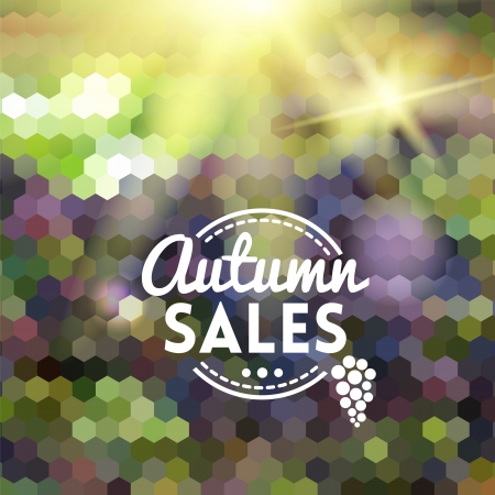 Colorful geometric background card with grape wine autumn salesのイラスト素材