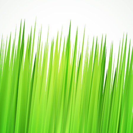 Green spring background, frame with realistic herbs vectorのイラスト素材
