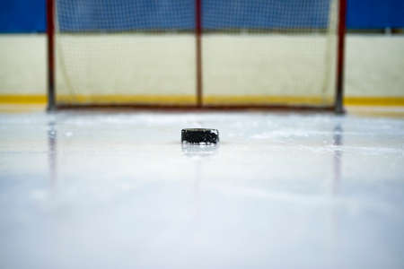 ice hockey, hockey puckの写真素材