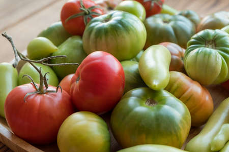 Red and green tomatoes on a wooden background. Tomato harvestの写真素材