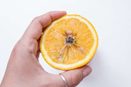 Spoiled orange. The black middle inside the fruitの写真素材