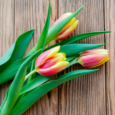 Handmade chocolates in a box next to tulnans for a holiday, wooden backgroundの写真素材
