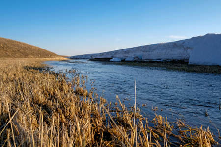 Snow is melting in spring. Stream in the field. Plants, lowlands, snowdriの写真素材