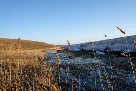 In the field in the spring. Field grass. Sunset, blurred background, melting snow.の写真素材