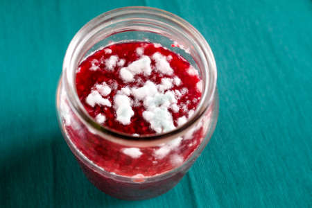 Fungi grow on jam. Spoiled product in a glass jar. View from aboveの写真素材