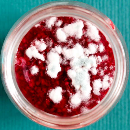 Mold for jam. Fungi grow on red sweet jamの写真素材