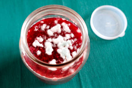 Mold on red jam. Spoiled product in a glass jar. Green and white fungiの写真素材