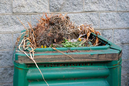 Old green composter against a gray wall. Branches and grass on top for processing.の写真素材