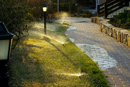 Watering the lawn at sunset. Splashing water in the park.の写真素材