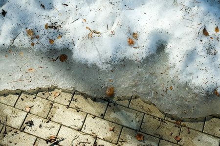 Walkway in the garden in spring. Snow melts, old branches and leaves.の写真素材