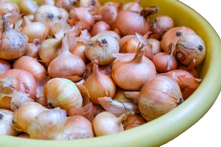 Storing onions in a bowl. Harvest of golden onions.の写真素材