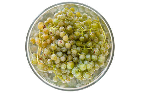 Green round grapes are submerged in water. Wash the fruit in a transparent bowl. View from above.の写真素材
