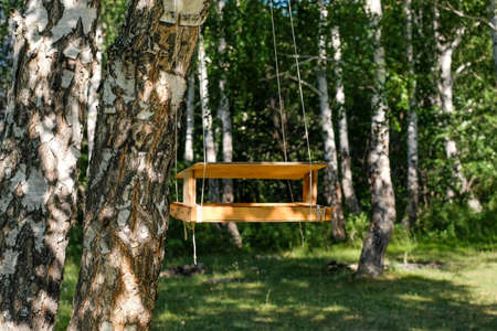 Homemade wooden bird feeder hanging in the woods on a tree.の写真素材