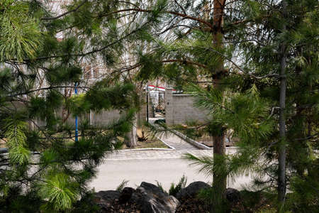 View of the open gate of the house from behind the trees. No people.の写真素材