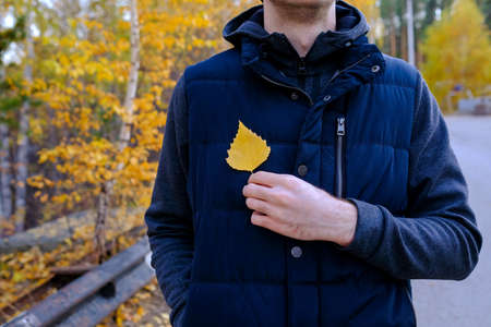 The man holds a yellow leaf to his chest. Love for autumn. No face visible, blurred background.の写真素材