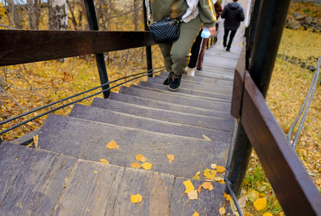 People climb the wooden stairs in the forest park.の写真素材
