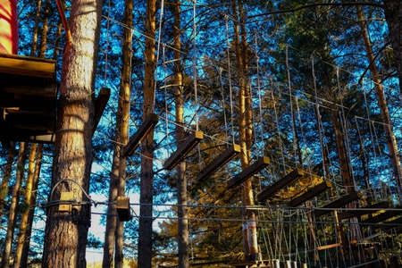 Rope town, bottom view. Wooden stairs are tied to trees.の写真素材