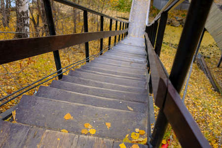 An empty wooden narrow staircase in the park goes down. Autumn steps.の写真素材
