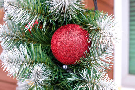 Christmas decoration. Red ball surrounded by green needles. No peopleの写真素材