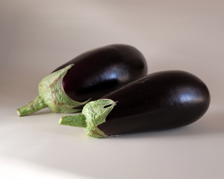 Ripe eggplants on a light backgroundの写真素材