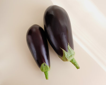 Eggplants are in the center of the photo. Two fresh vegetables.の写真素材