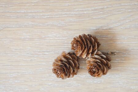 Christmas cones on a light background. Preparation for the New year and Christmas