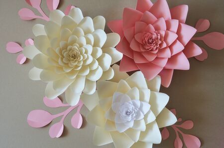Paper flowers for wall and interior decoration. The flowers are handmade.の写真素材