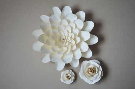 Paper flowers for wall and interior decoration. The flowers are handmade.の写真素材