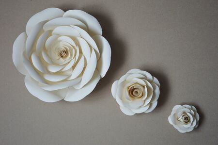 Paper flowers for wall and interior decoration. The flowers are handmade.の写真素材