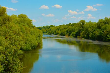 river, blue sky, white clouds and green trees. nature in summer.