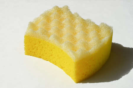 foam sponge for washing on a white background.の写真素材