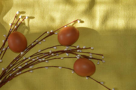 Happy Easter. Beautiful decoration for the spring holiday. Chicken eggs and willow on a yellow...