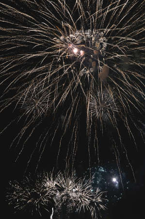 bright festive fireworks, happy New Year, birthday, independence day, wedding.
