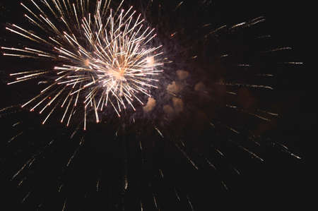 bright festive fireworks, happy New Year, birthday, independence day, wedding.